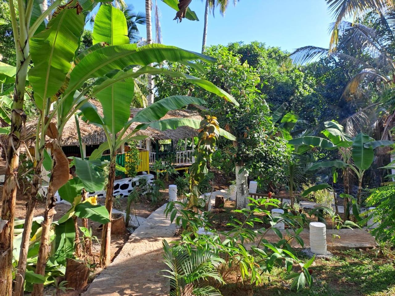 Le Chissioua Hotel Sada ภายนอก รูปภาพ